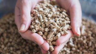 Polacy kupują pellet w Niemczech. Oto ile płacą