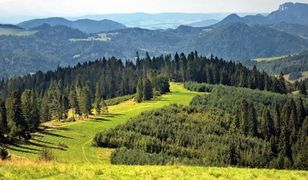 Beskidy. Jest pięknie, dlatego i tłoczno