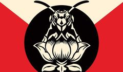 "Pollinator" - nowy album zespołu Blondie