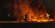 Wypalanie traw słono kosztuje. Grzywna nawet do 30 tys. zł