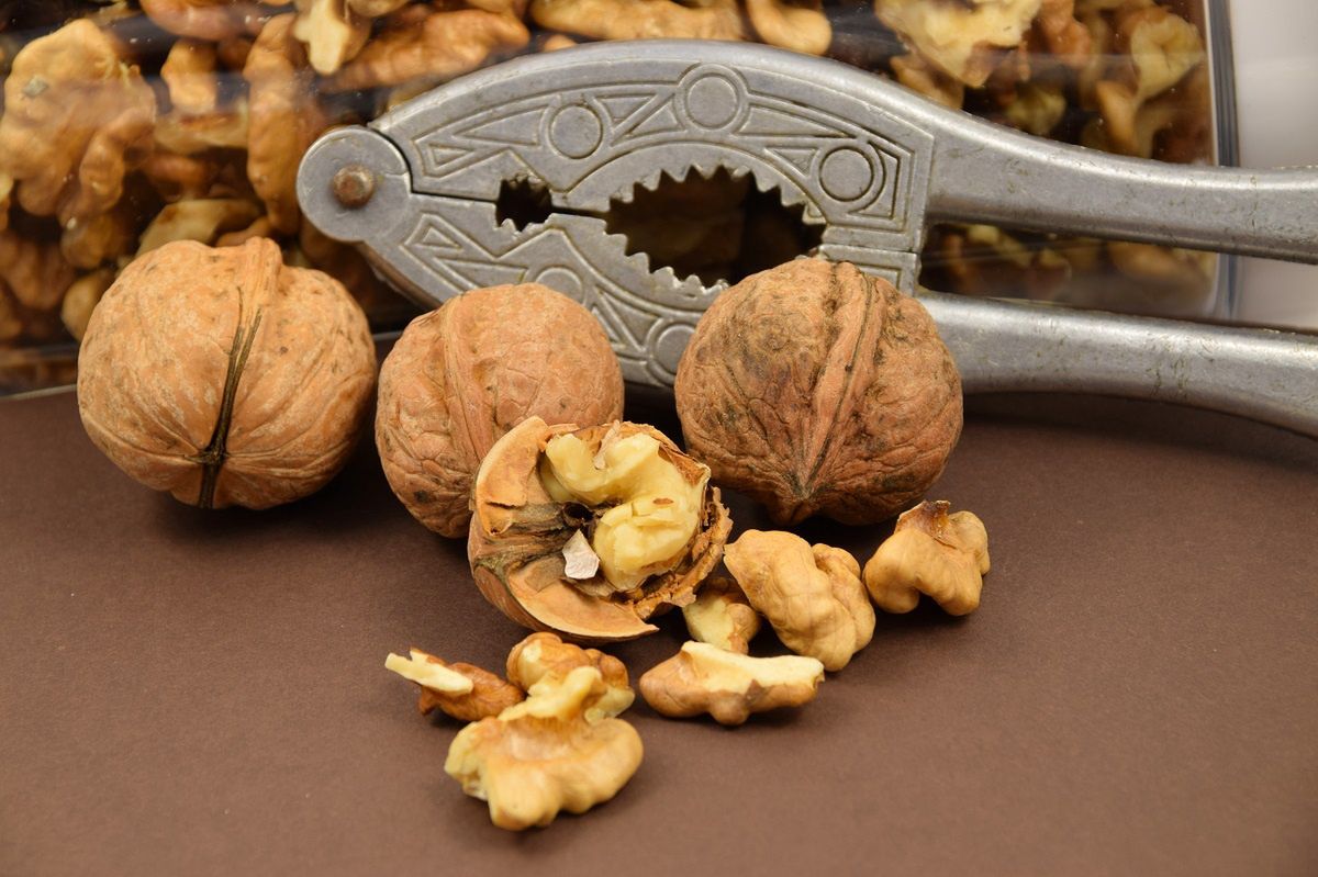 Why is it worth eating walnuts?