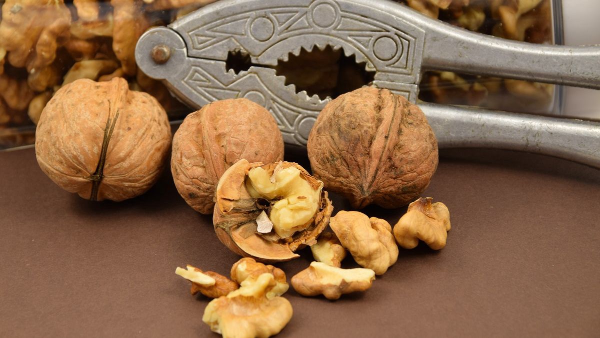 Dlaczego warto jeść orzechy włoskie?