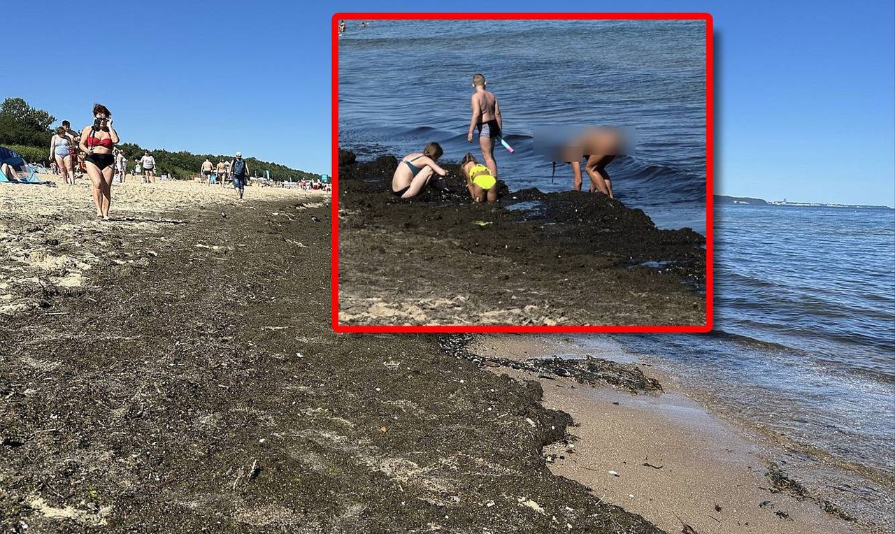 Turyści przecierali oczy. Taki widok na polskiej plaży