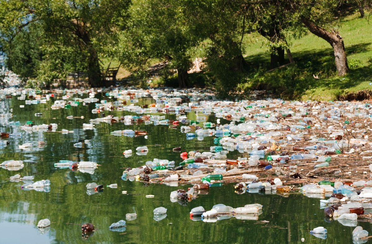 Ekologiczny plastik też szkodzi. Szczególnie rybom