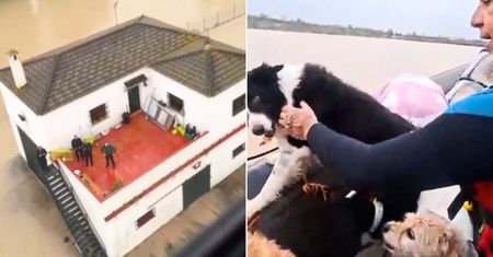 Ulewy w Hiszpanii. Chwytające za serce nagrania z Andaluzji