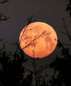 Superpełnia. Większy i kolorowy. Księżyc na waszych zdjęciach