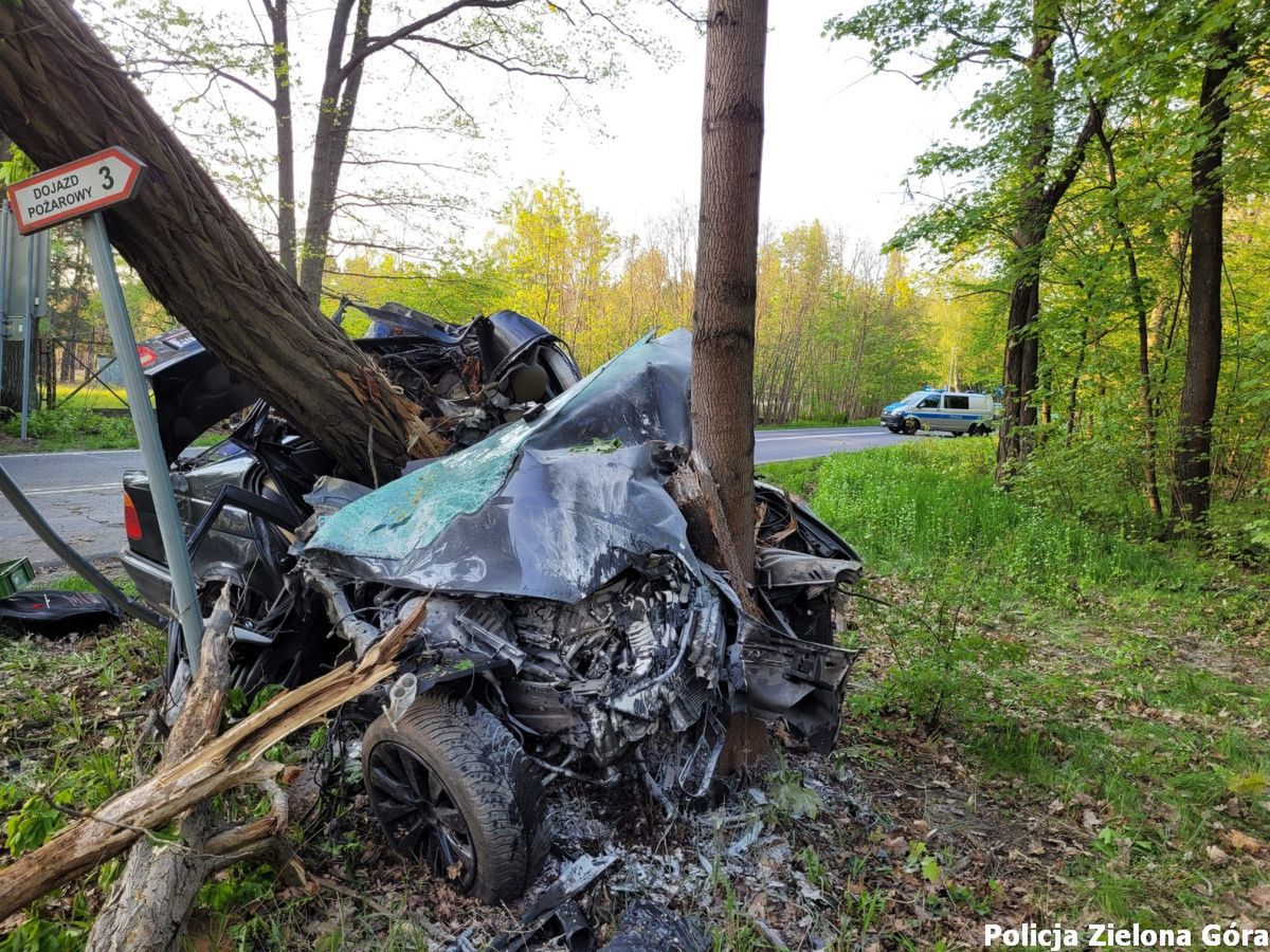 Rozpędzone BMW zatrzymały drzewa