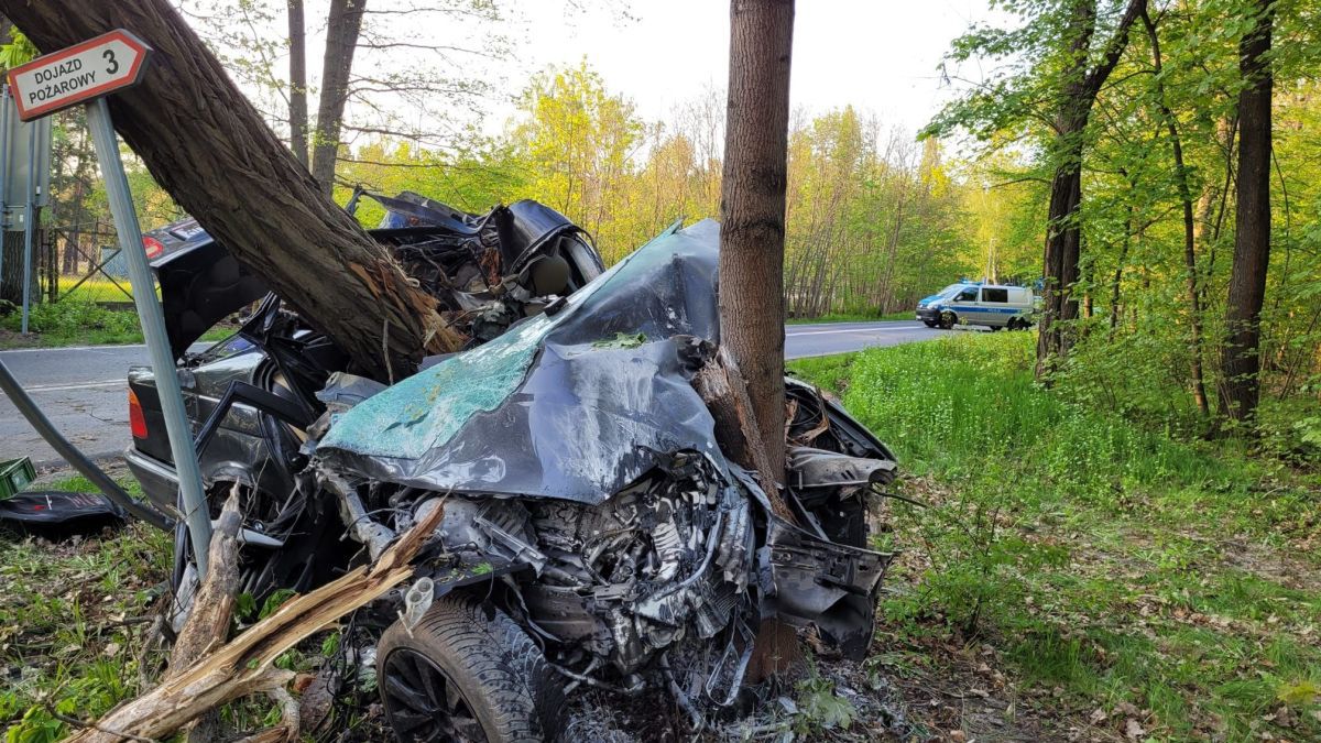 Rozpędzone BMW zatrzymały drzewa