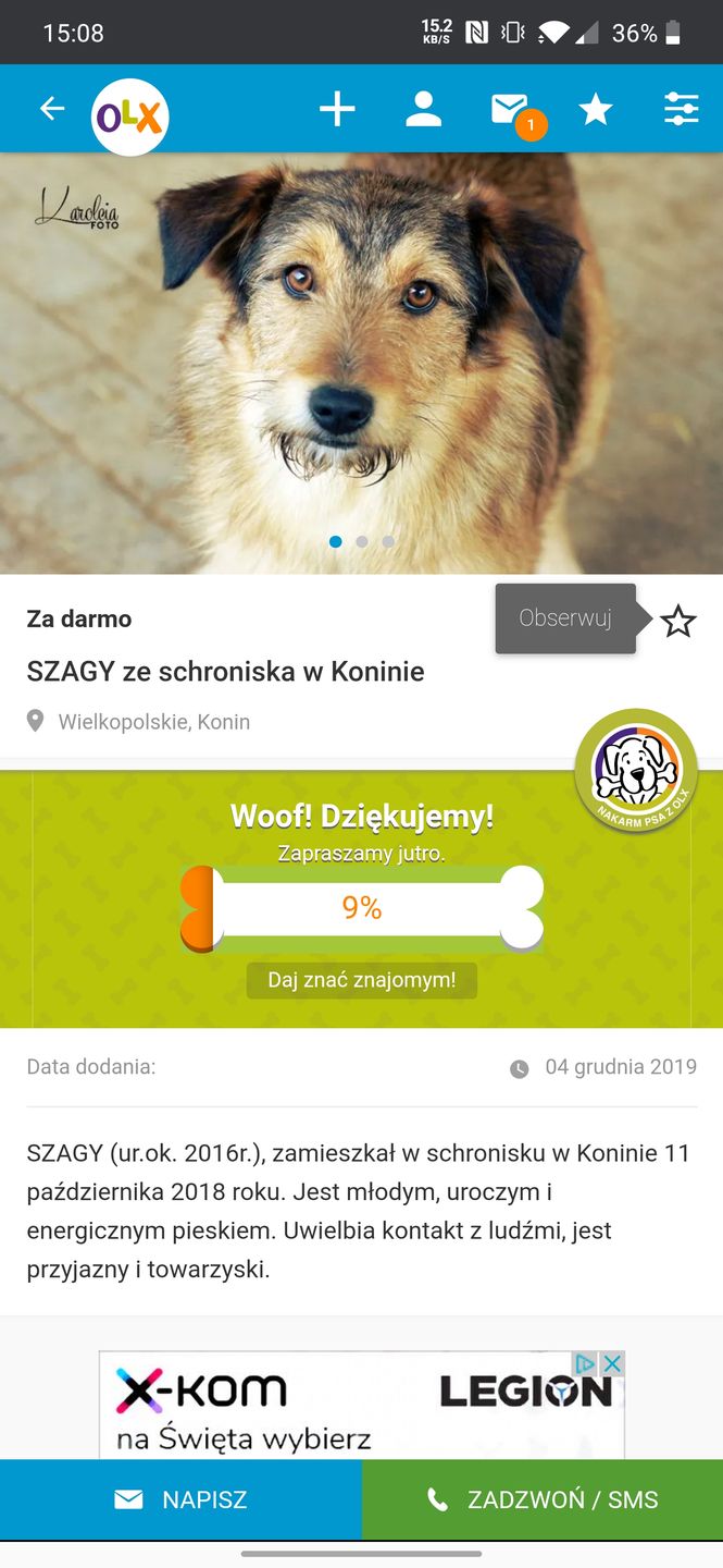 Obraz