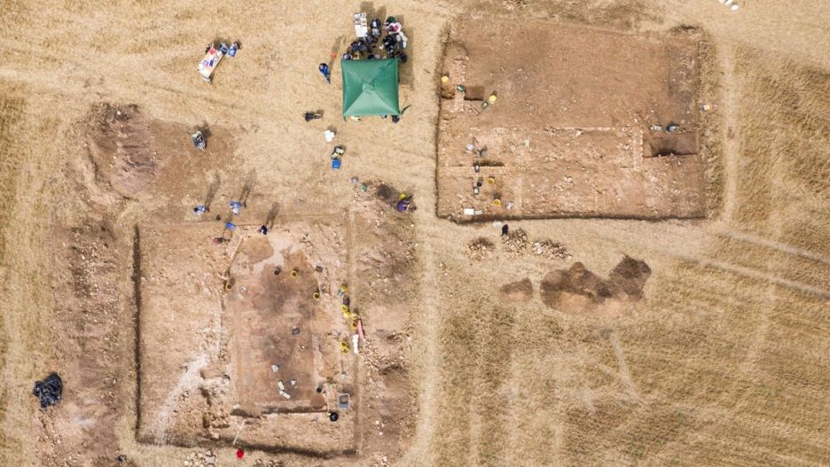 Brytyjczyk odkrył przez przypadek mozaikę sprzed 1700 lat