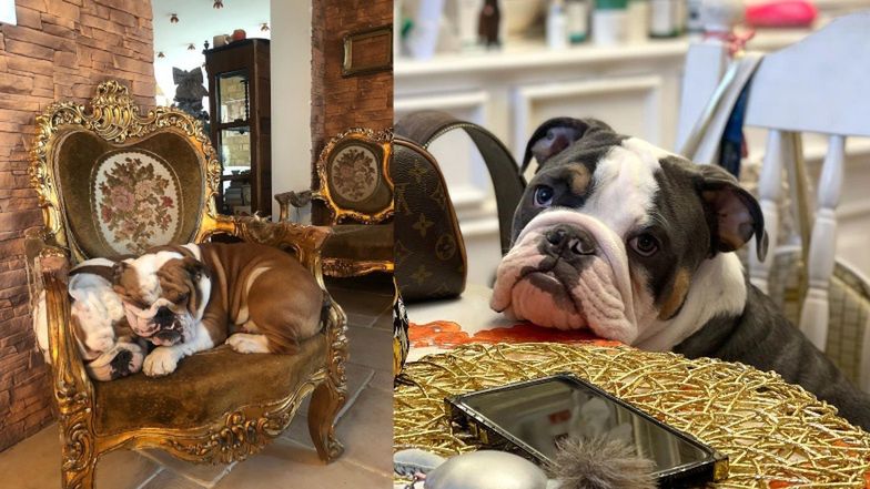 Tak mieszka Dagmara Kaźmierska z "Królowych Życia"