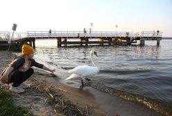 Pogoda. Słońce mocno przygrzeje. Poczujemy powiew lata