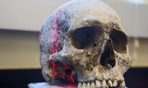 Nowa hipoteza o pierwszych Amerykanach. Trop prowadzi do Hokkaido