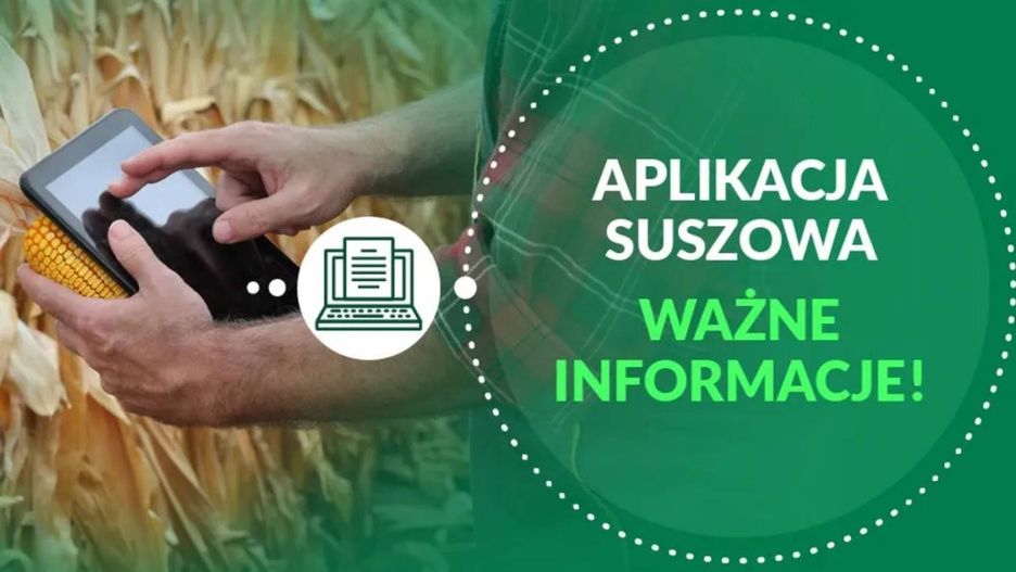Jak działa algorytm suszowy?