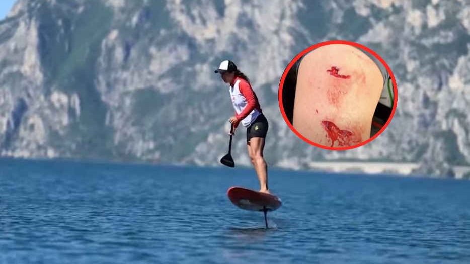 Rekin zaatakował surfera w pobliżu wyspy Fuerteventura