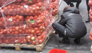 Dziesiątki ton cebuli z Rosji zatrzymane na granicy. Oto powód