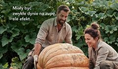 Ancy przygotowała platformę kreatywną dla marki Azofoska