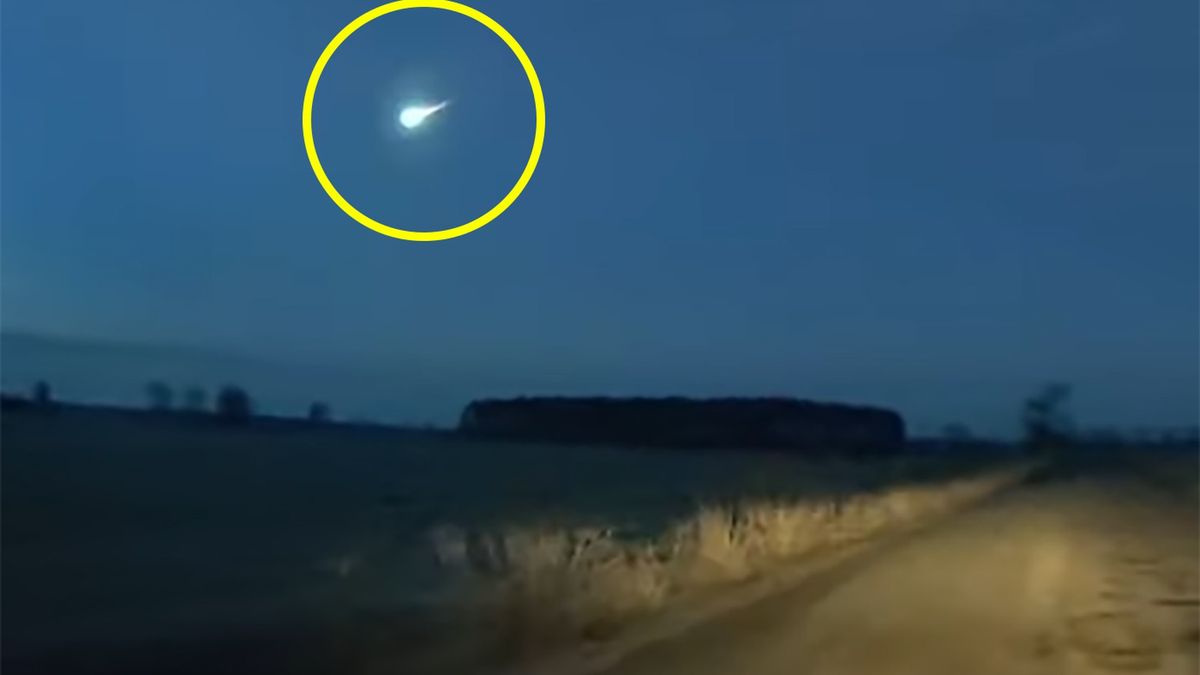 Niecodzienne zjawisko zaobserwowano w Lubuskiem 