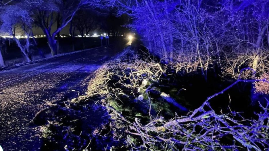Cyklon Zoltan narobił wiele szkód na Dolnym Śląsku