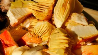 Muchomor, który uchodzi za rarytas. Nawet 600 zł za kilogram