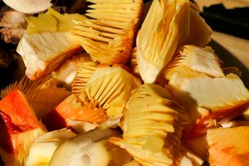 Muchomor, który uchodzi za rarytas. Nawet 600 zł za kilogram