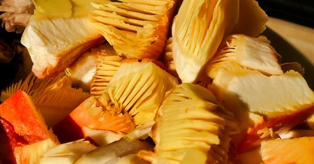 Muchomor, który uchodzi za rarytas. Nawet 600 zł za kilogram