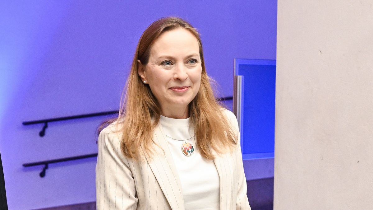 Ministra funduszy Katarzyna Pełczyńska-Nałęcz zabrała głos po przyjęciu przez Sejm ustawy zobowiązującej deweloperów do ujawniania cen mieszkań