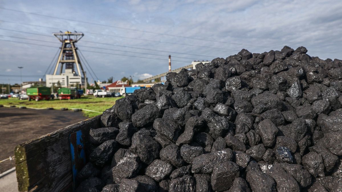 Kolejka po w?giel przed kopalni? Budryk
31.08.2022 Ornontowice woj. slaskie . Wegiel z kopalni Budryk nalezacej do Jastrzebskiej Spolki Weglowejfot. Beata Zawrzel/REPORTER
Beata Zawrzel/REPORTER