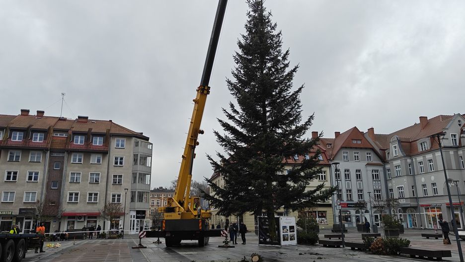 Montaż choinki na Placu Wolności w Szczecinku