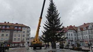 Szczecinek: Na Placu Wolności pojawiła się choinka