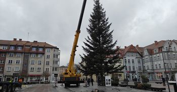 Szczecinek: Na Placu Wolności pojawiła się choinka