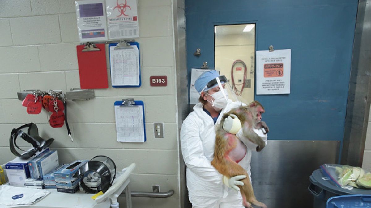 Zdjęcie ilustracyjne