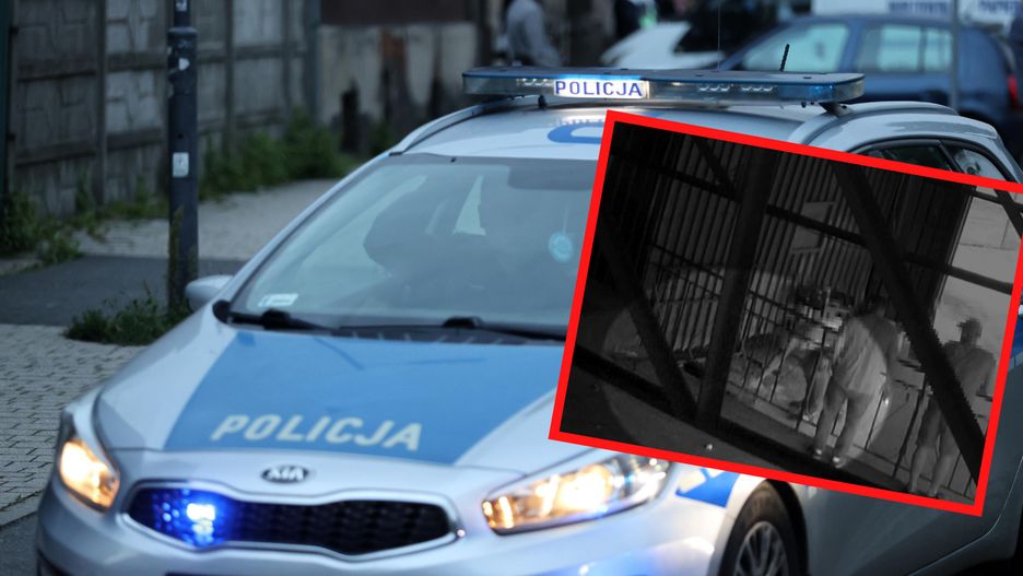 policja