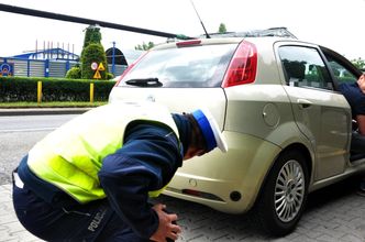 Nieprawidłowości w CIT. Skarb Państwa odzyskał blisko 40 mln zł