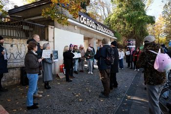 Poznań: Zaniedbania w poznańskim zoo? Radna składa zawiadomienie do prokuratury i Głównego Inspektoratu Weterynaryjnego