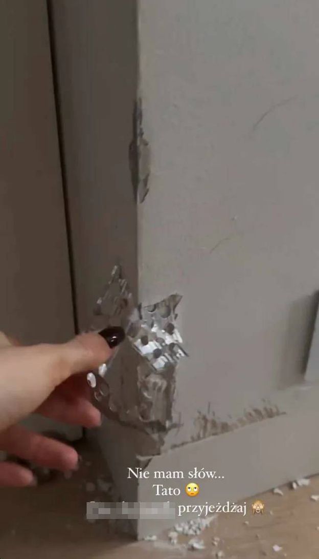 Karolina Pisarek pokazuje ZDEMOLOWANY dom przez czworonożnych przyjaciół i ubolewa: "Nie mam słów" (ZDJĘCIA)