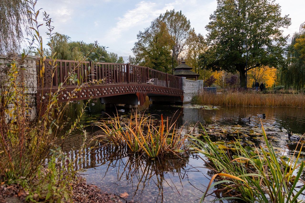 Zduńska Wola: Park Miejski w jesiennym wydaniu