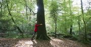 Sadzenie nowych drzew może nie tylko nie pomóc klimatowi, ale nawet mu zaszkodzić