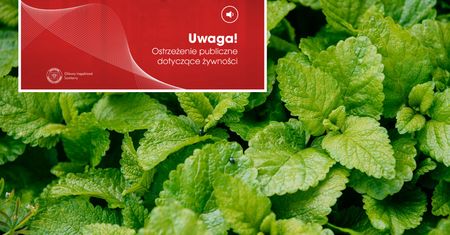 Zioła z groźną bakterią. GIS wydał ostrzeżenie