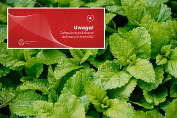 Zioła z groźną bakterią. GIS wydał ostrzeżenie