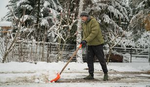 Spadł śnieg, trzeba chwycić za łopatę. Kary nawet do 1,5 tys. zł