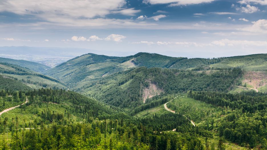 Beskidy zachwycają na każdym kroku