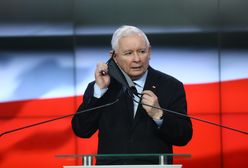 Poparcie dla PiS nie chce spadać. Fenomen partii Kaczyńskiego