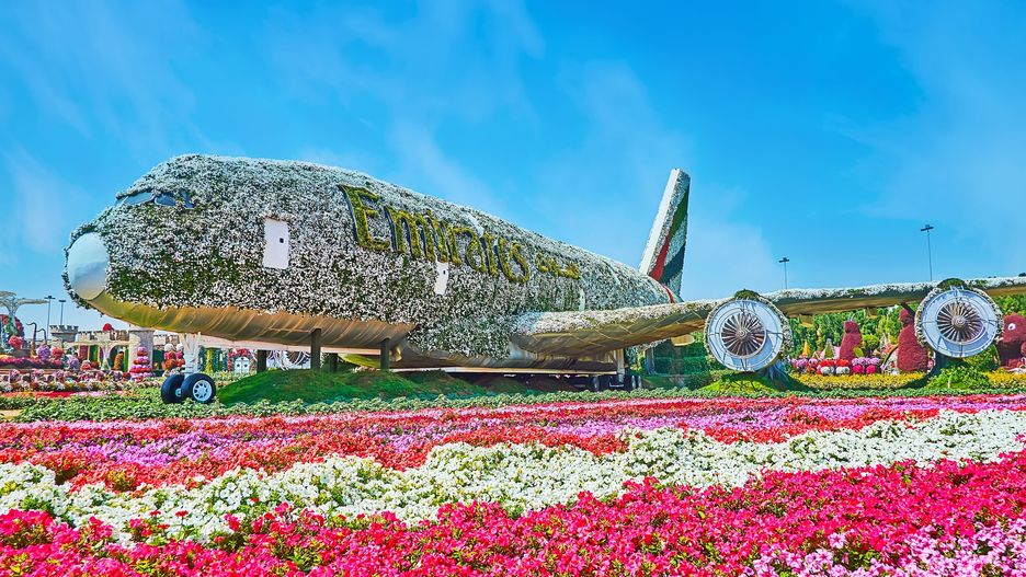 Kwiatowy samolot w Dubai Miracle Garden