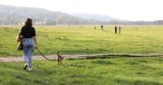 To będzie jedyny taki park w Polsce. Wyjątkowe miejsce powstaje na południu Krakowa, na życzenie mieszkańców