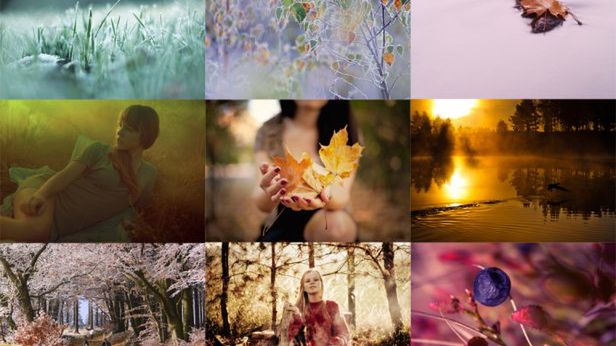 Konkurs "Kolorowe zdjęcie na jesienne szarości" - najlepsze prace [galeria] 1