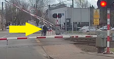 Los pokarał pieszą. Zapamięta, że nie przechodzi się na czerwonym świetle