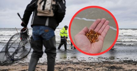 "Poławianiem może zająć się każdy". Tyle zarabiają na bursztynie