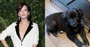 Lily Allen pozbyła się psa, bo "zjadł jej paszporty". "Nie mogłam na nią patrzeć". Fani oburzeni