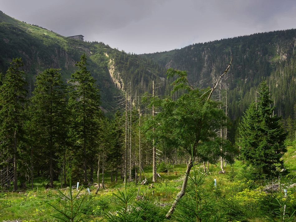 10 najpiękniejszych szlaków w Karkonoszach 9
